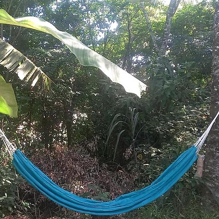 Vila Casinha Acolhedora Da Mata - Rota Do Vinho São Roque Exteriér fotografie