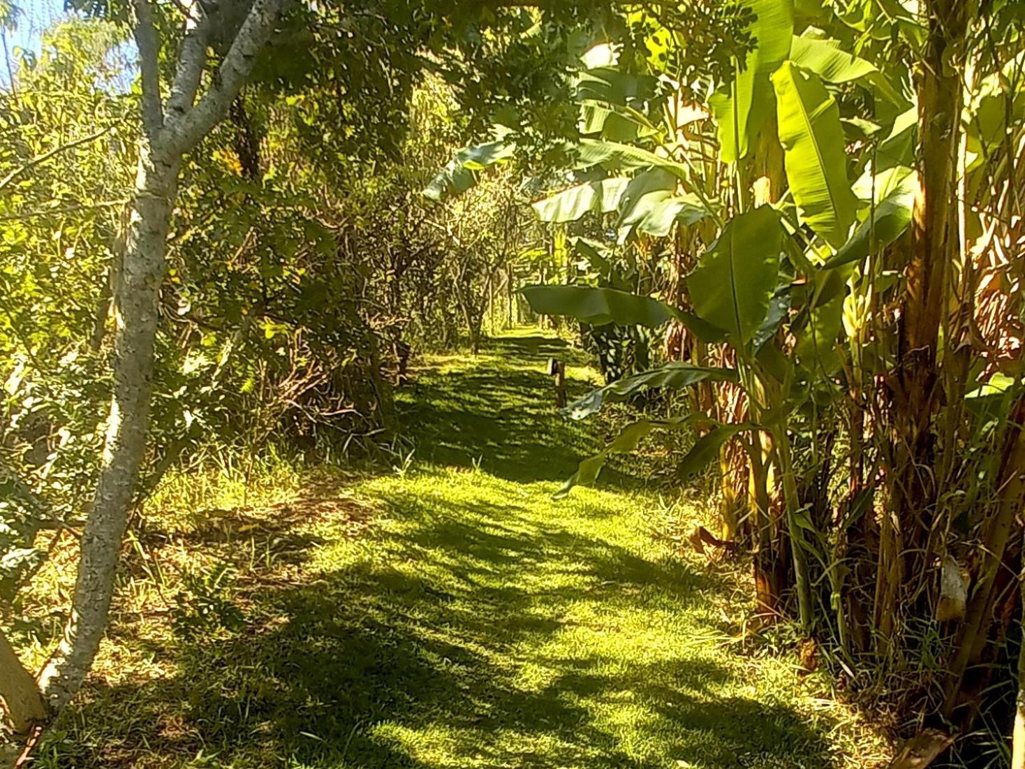 Vila Casinha Acolhedora Da Mata - Rota Do Vinho São Roque Exteriér fotografie