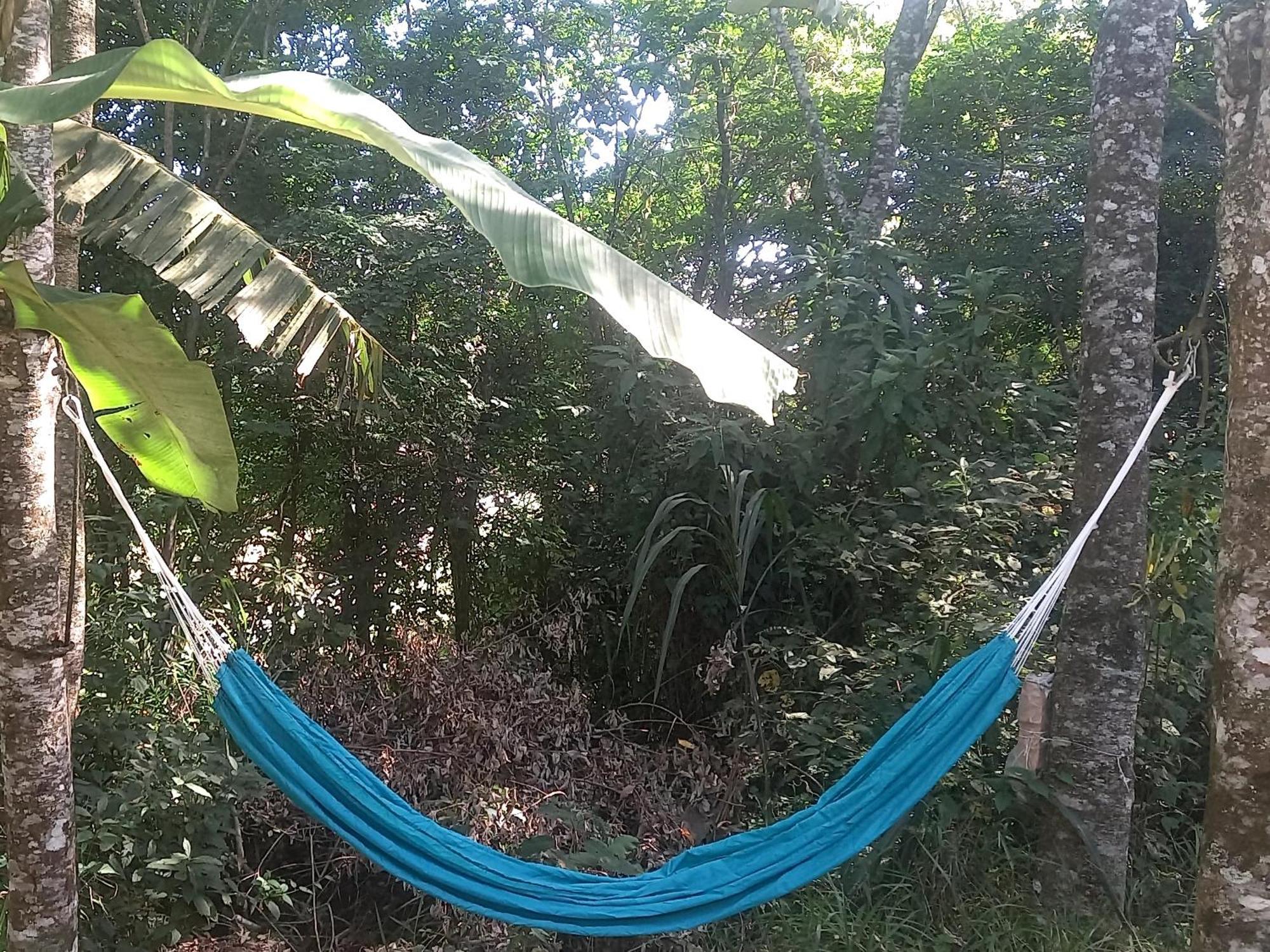 Vila Casinha Acolhedora Da Mata - Rota Do Vinho São Roque Exteriér fotografie