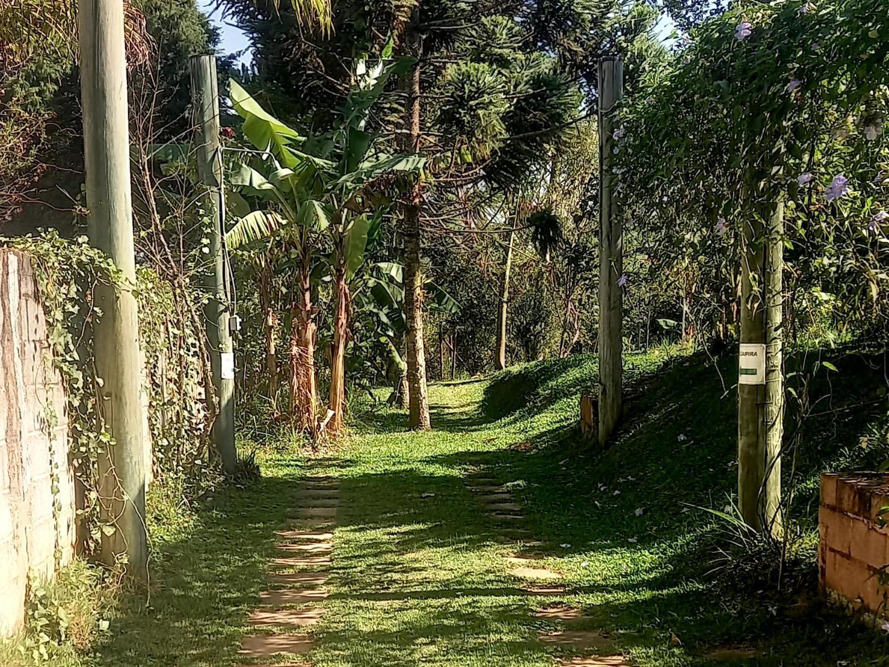 Vila Casinha Acolhedora Da Mata - Rota Do Vinho São Roque Exteriér fotografie